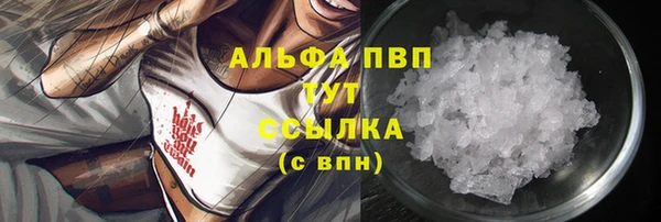 винт Лабытнанги