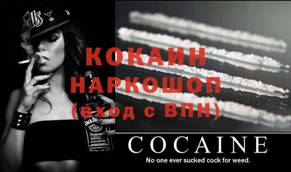дмт Ладушкин