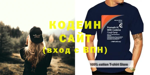 дмт Ладушкин
