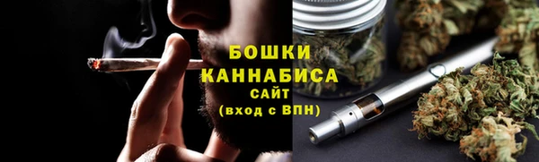 дмт Ладушкин