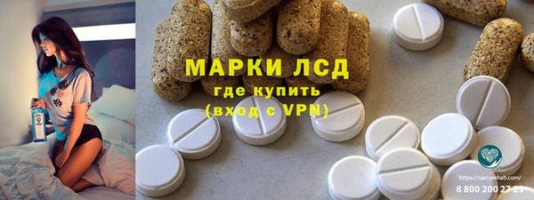 винт Лабытнанги