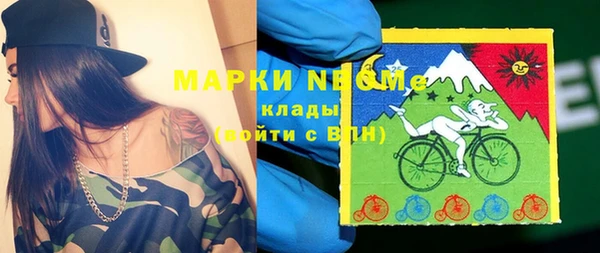 винт Лабытнанги