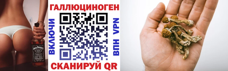Псилоцибиновые грибы мухоморы  Купить  Егорьевск 